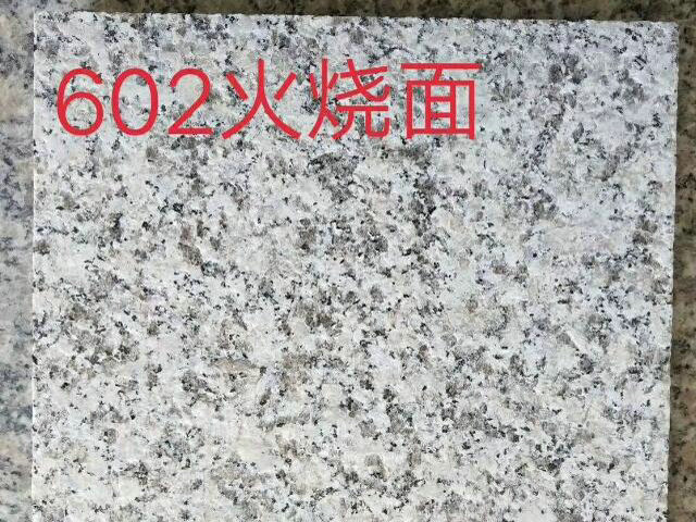 芙蓉白602 火烧面